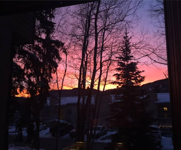 Pink and orange sky seen through bare trees